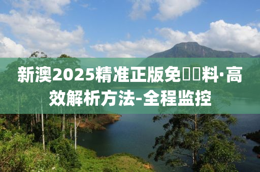 2025新澳精准正版免費資料全面释义与解释落实